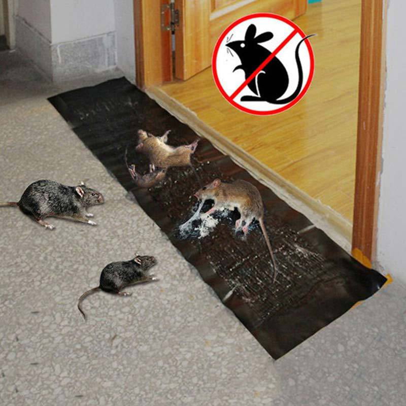 Mouse Rodent Control Glue Rat Trap Strong Adhesive Board Mice Bugs Killer XN 