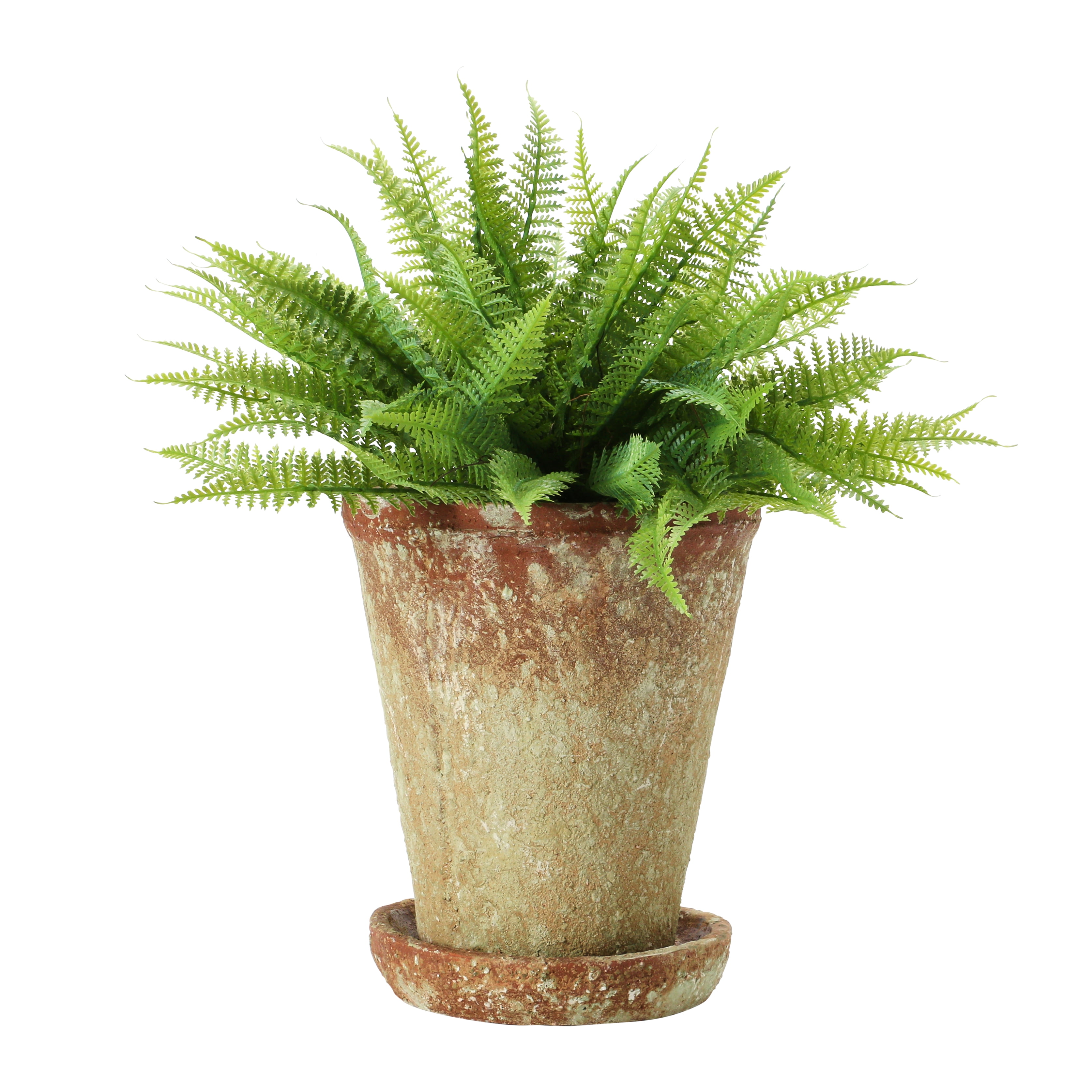 Creative Co-Op Cement Planter with Saucer, Distressed Terra-cotta Finish, Set of 2 (Holds 5" Pot)