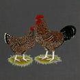 thumbnail image 2 of CafePress - Speckled Sussex Chickens Maternity Dark T Shirt - Maternity Dark T-Shirt, 2 of 3