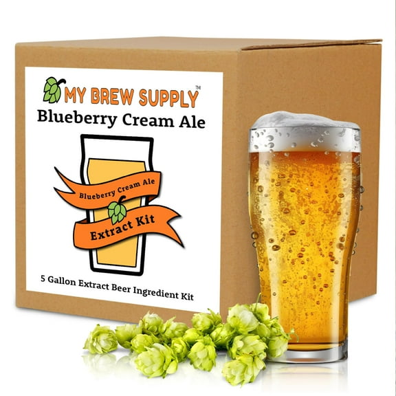Blueberry Cream Ale MBS 5 gal Homebrew Beer Extract Ingredient Kit