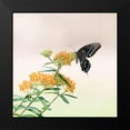 thumbnail image 2 of PHBurchett 12x12 Black Modern Framed Museum Art Print Titled - Butterfly Portrait II, 2 of 5