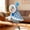 Blue, variant on dgysar Warm Bird Cape Thickened Parrot Clothes for Cockatiel Parakeet and Lovebird Soft Winter Outdoor Cloak with Easy Fastener Medium 1 Pack Blue Medium