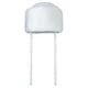 thumbnail image 4 of Gorro de piel Dress Up America High Shtreimel para Halloween para adultos, 4 of 4