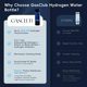thumbnail image 5 of Botella de Agua con Hidrógeno GasClub 3000 PPB – Tecnología SPE/PEM, 5 of 7