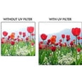 thumbnail image 2 of HI DEF POLARIZER UV & FLD (Fluorescent) FILTER KIT FOR FUJIFILM FINEPIX HS50EXR, 2 of 3