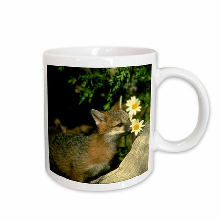 

3dRose Gray Fox - Ceramic Mug 15oz (mug_680_2)