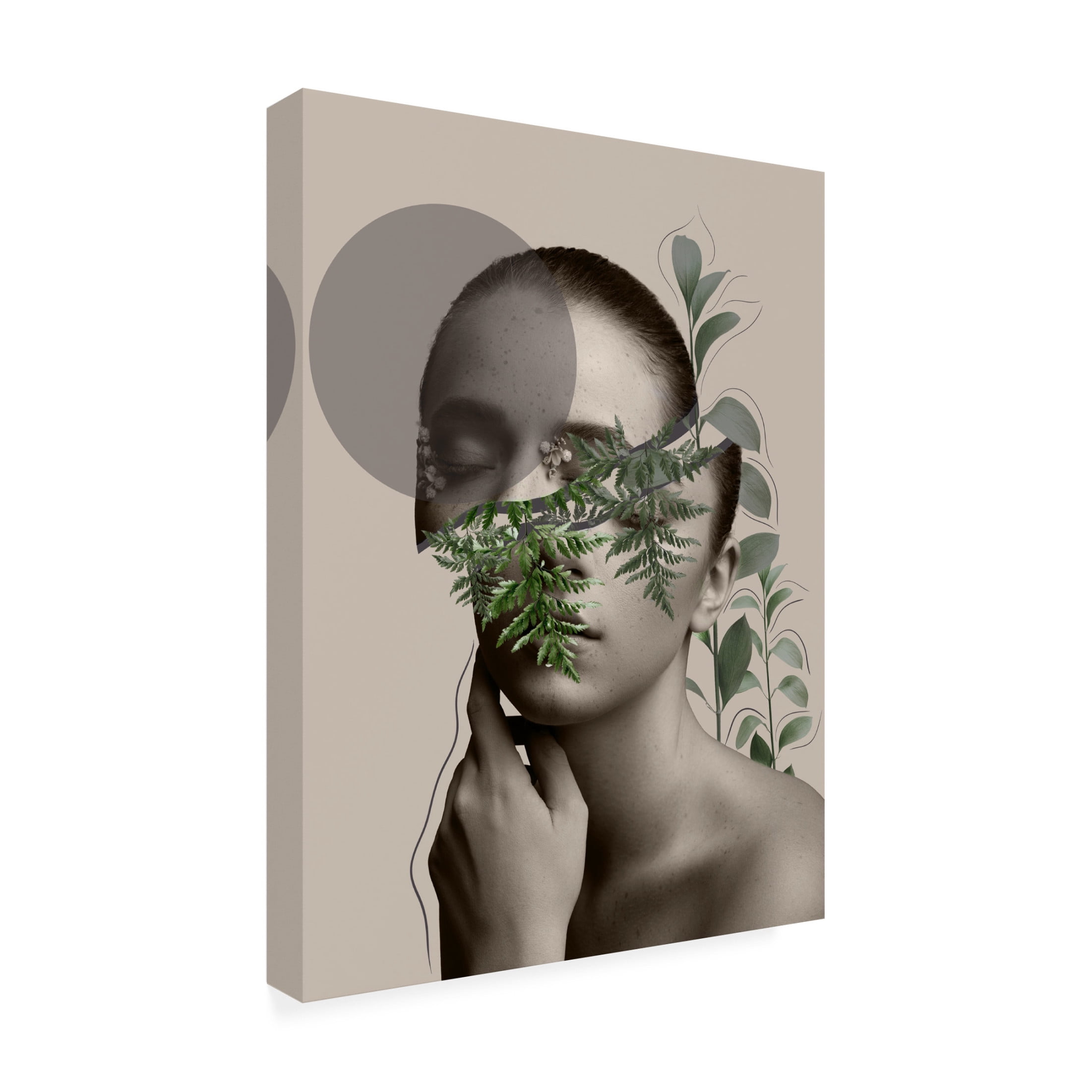 Trademark Fine Art Leila Lili Collection Creative Art Series Canvas Wall Art