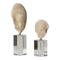 thumbnail image 4 of Uttermost Oyster 2-Piece Resin and Crystal Shell Sculpture Set in Aged Ivory, 4 of 6