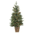 thumbnail image 2 of Sterling Charming 4 Foot Potted Natural Cut Georgia Pine, 2 of 5