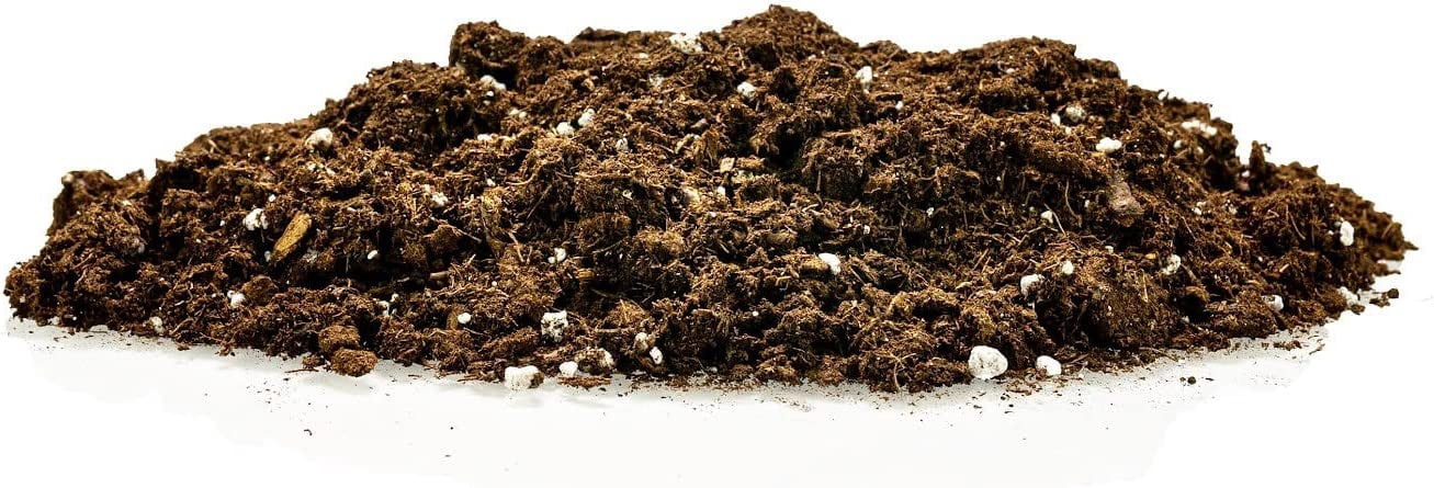 GARDENERA Money Tree Potting Soil, Soil Mix for Planting or Repotting Guiana Chestnut, Soil Blended to Properly Grow Money Tree Plants - (4 Quart Bag)