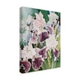 thumbnail image 2 of Trademark Fine Art 'Ruffled Burgundy Iris' Canvas Art by Joanne Porter, 2 of 3