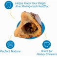 thumbnail image 5 of Bone Marrow Chew Bones for Dogs 5-6 inches (6 Count), 5 of 8