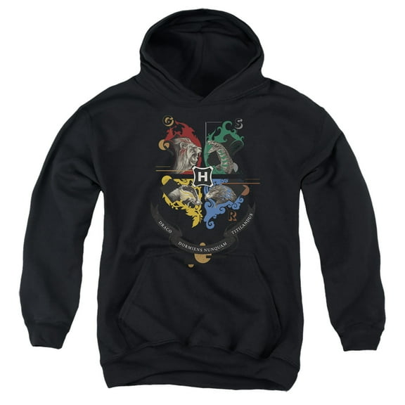 Harry Potter Hogwarts Magicial Mischief Level Up Crest Kids Pull-Over Hoodie (Small) for Youth Boys and Girls, Black