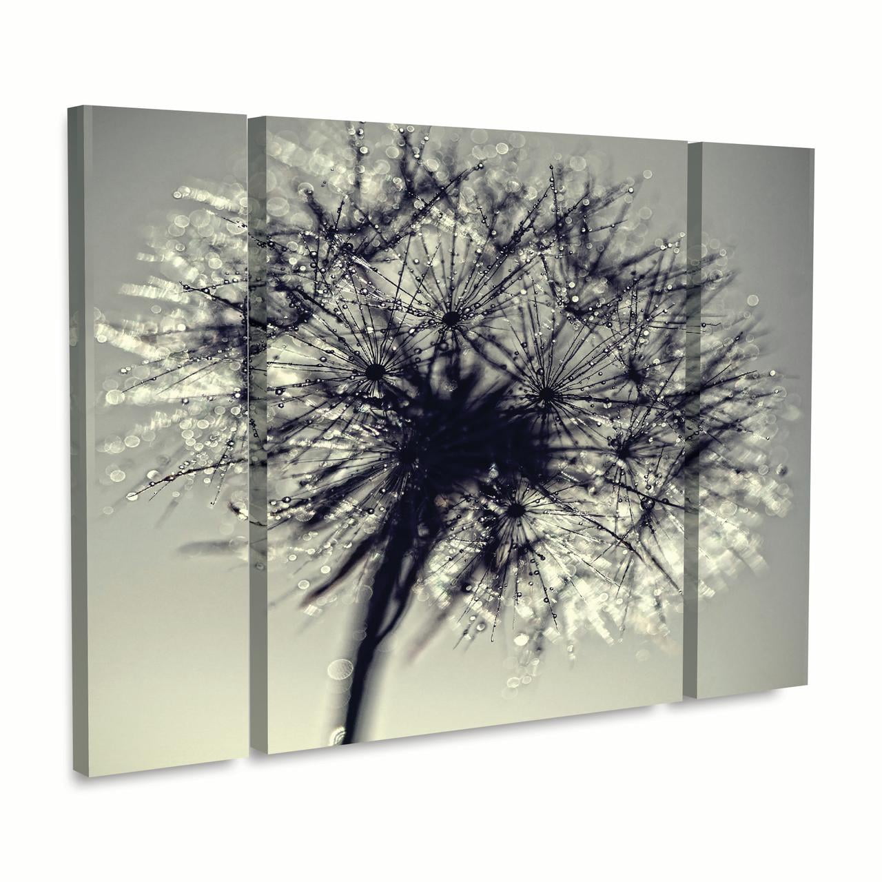 Trademark Fine Art 'Morning Sparkles' Canvas Art by Beata Czyzowska Young