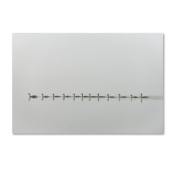 Trademark Fine Art 'Follow Me' Canvas Art by Nick Kalathas