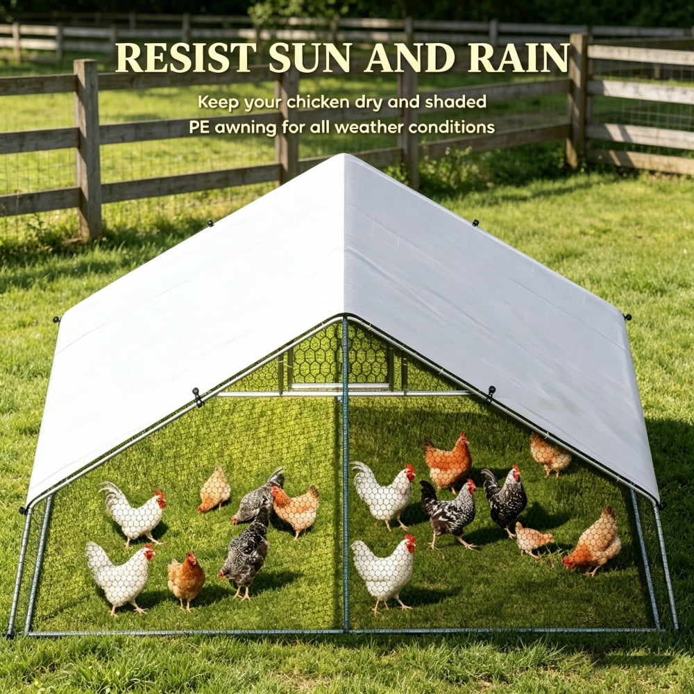 Chicken Coop