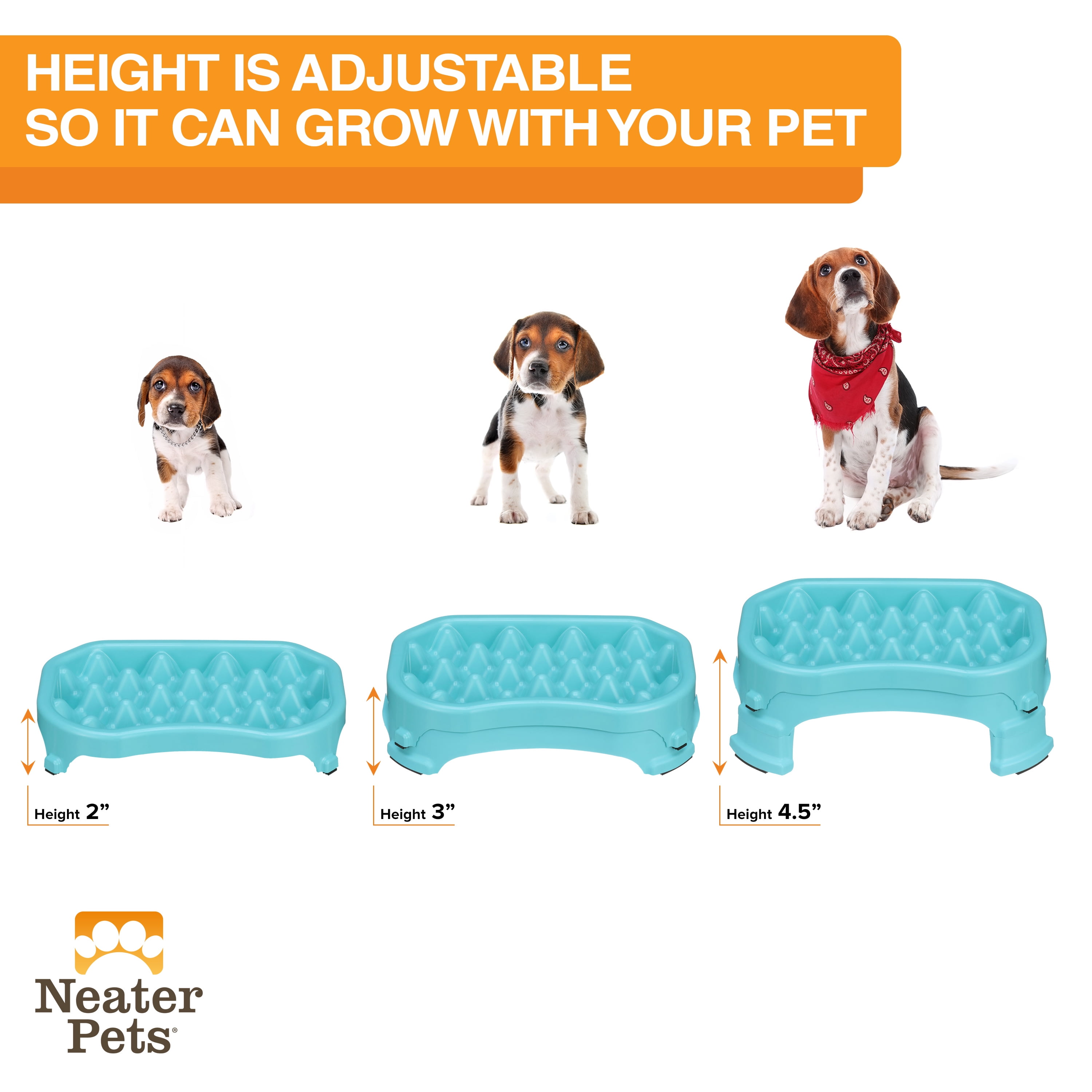 Neater Pet Brands Raised Neater Slow Feeder - Elevated & Adjustable Feeding Height - Improves Digestion, Stops Obesity, and Slows Down Eating, 2.5 Cups, Aquamarine