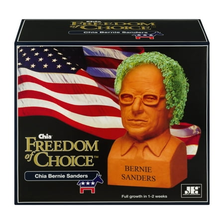As Seen on TV - Chia Bernie Sanders