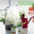 thumbnail image 7 of GHODEC 2Pack Grow Light for Indoor Plants, 6000K Full Spectrum Plant indoor Light for Small Plants, Auto on/off Timing & 5 Dimming, 7 of 7