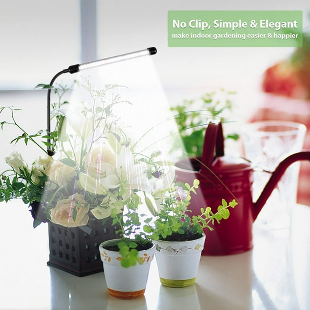 Ghodec Grow Light Plant Light for Indoor Plants Growing, 6000k Full Spectrum Plant Grow Light for Seedings Succulents Small Plants, Auto on/off Timing