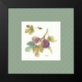thumbnail image 2 of Audit, Lisa 20x20 Black Modern Framed Museum Art Print Titled - Orchard Bloom III Border, 2 of 5
