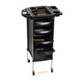 thumbnail image 5 of Lanzxjv Hair Salon Storage Tool Cart, 6-Layer Hair Salon Trolley with 4 Wheels, Barber Storage Cart for Hairdressing Beauty SPA Tattoo, 5 of 6