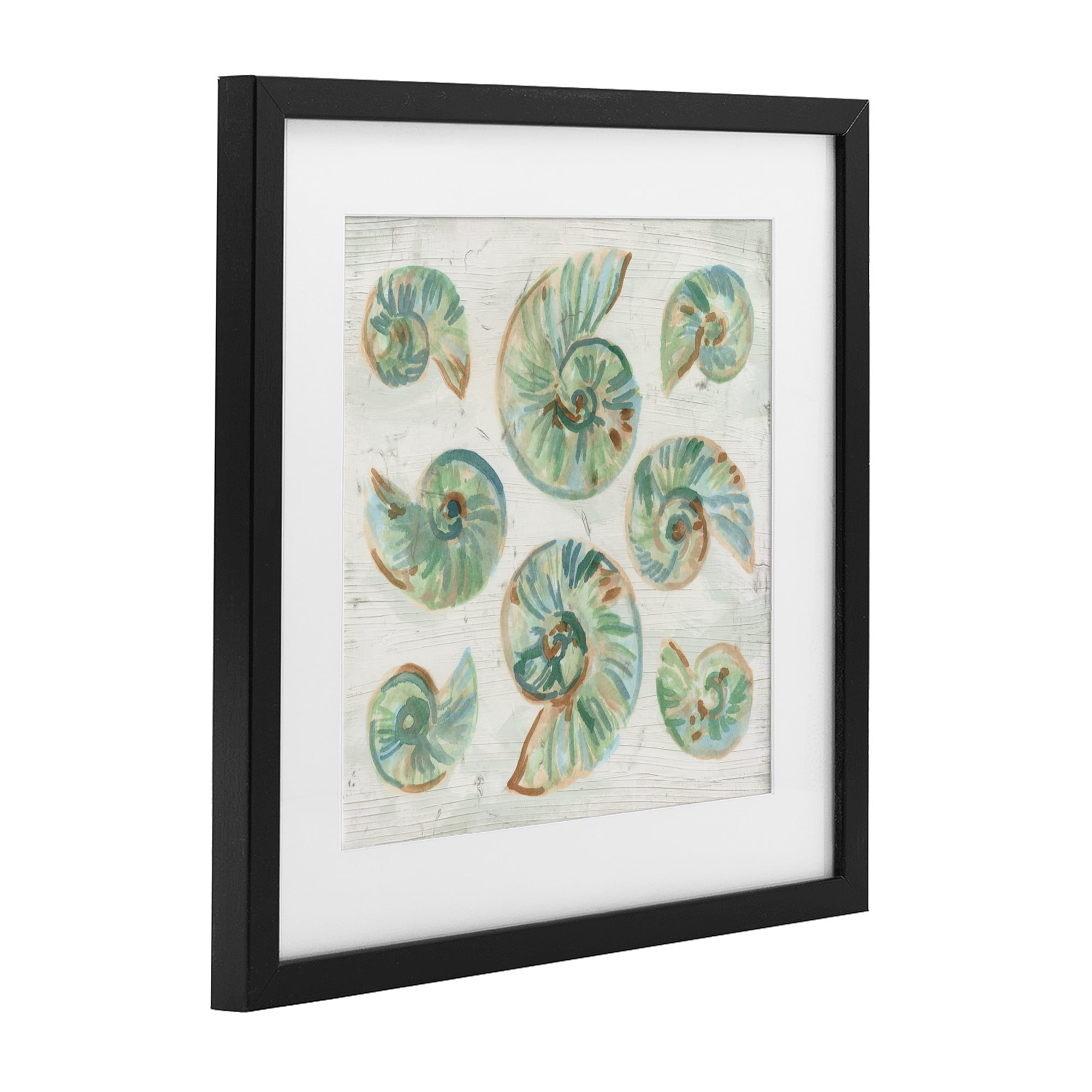 Stupell Industries Organic Saltwashed Shells Black Framed Print Under Glass, design by June Erica Vess