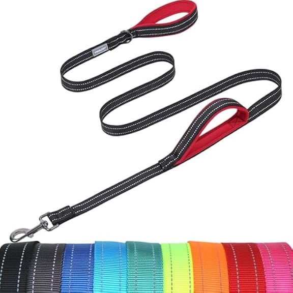 Eryueer Dog Leash Twingrip Double Handle Dog Leash with Traffic Handle Control & 2 Loop for Walking & Training, Reflective Heavy Duty for Puppy Pet Collar, 4ft x 1in, Black