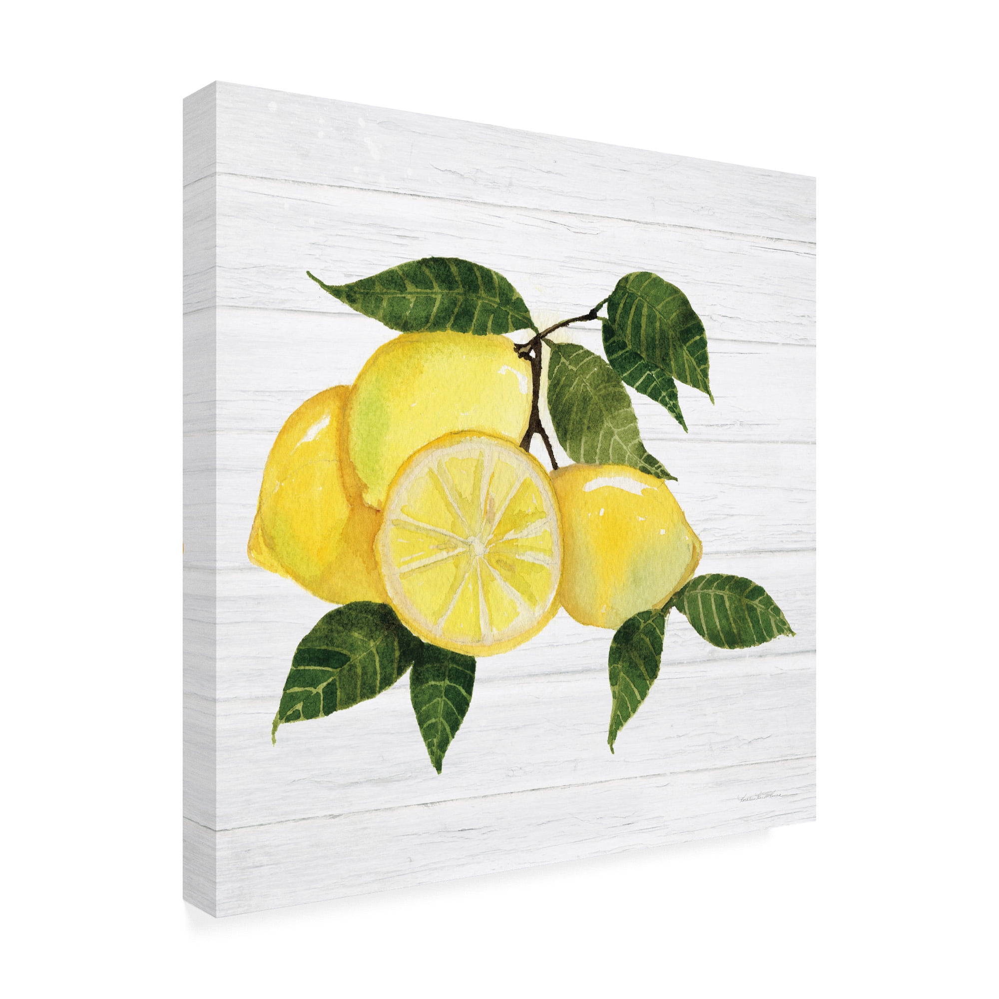 Trademark Fine Art 'Citrus Garden VI Shiplap' Canvas Art by Kathleen Parr McKenna