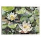 thumbnail image 1 of Cuadro Decorativo - flores de loto Jr  Impresión en canvas, estrechado, 1 of 2