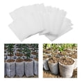 thumbnail image 4 of 300 bolsas biodegradables no tejidas Zulema para plantas 8x10cm, 4 of 8