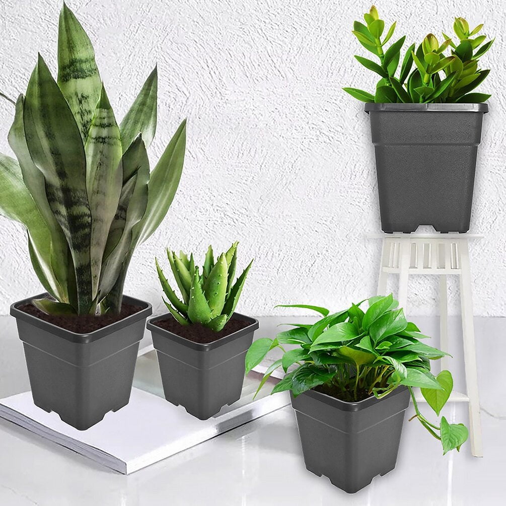 10 Pack Nursery Pots 2 Gallon Garden Planter Plastic Sqaure Seedling Pots White Flower Plant Container for Succulents, Seedlings, Cuttings, Transplanting, Black