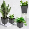 thumbnail image 7 of 10 Pack Nursery Pots 2 Gallon Garden Planter Plastic Sqaure Seedling Pots White Flower Plant Container for Succulents, Seedlings, Cuttings, Transplanting, Black, 7 of 7