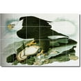 thumbnail image 1 of Ceramic Tile Mural-John Audubon Birds Painting 41. 25.5" w x 17" h using (24) 4.25 x 4.25 ceramic tiles, 1 of 3