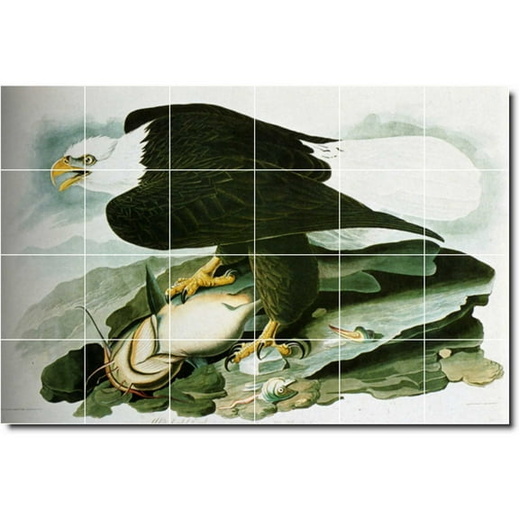 Ceramic Tile Mural-John Audubon Birds Painting 41. 25.5" w x 17" h using (24) 4.25 x 4.25 ceramic tiles
