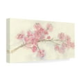 thumbnail image 4 of Trademark Fine Art 'Cherry Blossom I' Canvas Art by Chris Paschke, 4 of 4