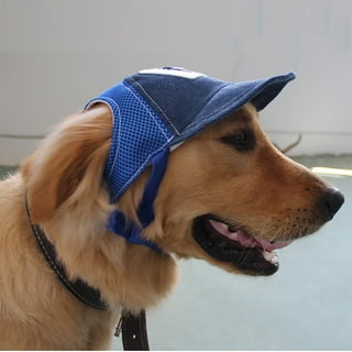 Dog baseball outlet hat