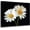 Black and White, variant on Zen Spa Floral Wall Art Grey Zen Stone Bamboo with Pink Water Lily Canvas Wall Art Yoga Meditation Room Decor Wall Decor for Office Bedroom Bathroom Home Ready to Hang 12L x 16W Inch