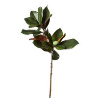 Teters Floral Green Magnolia Branch X2