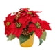 thumbnail image 1 of Nochebuena roja,Decoración navideña de planta de flor de pascua artificial navideña,Flor artificial de planta de flor de pascua roja en maceta,Decoración De Chimenea De Oficina De Centro De, 1 of 9