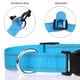 thumbnail image 3 of Collar para perros TagMe reflectante de nailon ajustable para perros pequeños, 3 of 7
