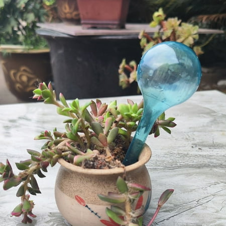

Efficient 2PCS Plant Self-Watering Bulb Globes - Perfect Tool for Indoor Gardens