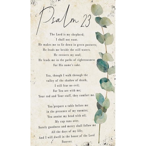 Psalm 23 Wall Art The Lord Is My Shepherd Bible Verse Wall Art Posters Decorative Paintings Pics Picture Decorations Modern Artwork for Office poster
