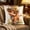 Multicolor334, variant on Tuvgenk Throw Pillow Covers Polyester Indoors 18x18 In Pillowcases Multicolor Highland Cow Furry for Patio