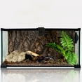 thumbnail image 4 of Rhewides 4pcs Turtle Feeding Box with Lock Buckle, Reptile Terrarium Anti-Escape Clips for Secure Habitat, 4 of 11