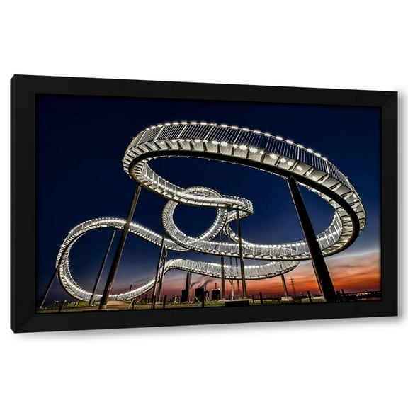 Holger Schmidtke 14x10 Black Modern Wood Framed Wall Art Titled - Tiger And Turtle At Dawn