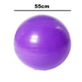 thumbnail image 3 of Exercise Ball Extra Thick Professional Grade Balance & Stability Ball- Includes Hand Pump, 3 of 5