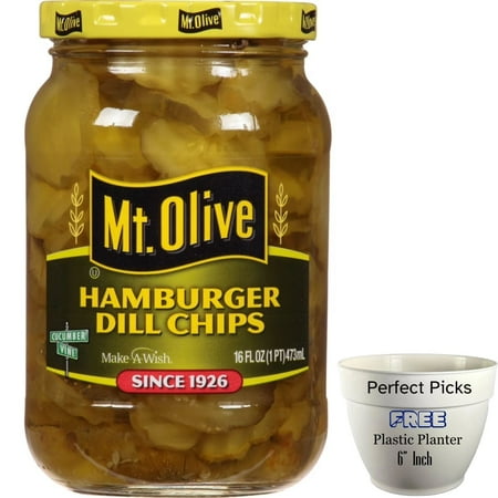 Mt. Olive Hamburger Dill Pickle Chips - 16 fl oz jar, ?Includes 1 Plastic Planter