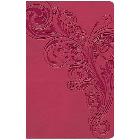 KJV Large Print Personal Size Reference Bible, Pink Leathertouch Indexed, (Hardcover)