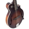 thumbnail image 3 of The Loar Honey Creek F-Style LM-310FE Acoustic-Electric Mandolin Brownburst Brownburst, 3 of 4